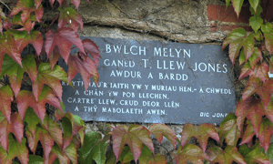 Bwlch Melyn, Pentre-cwrt