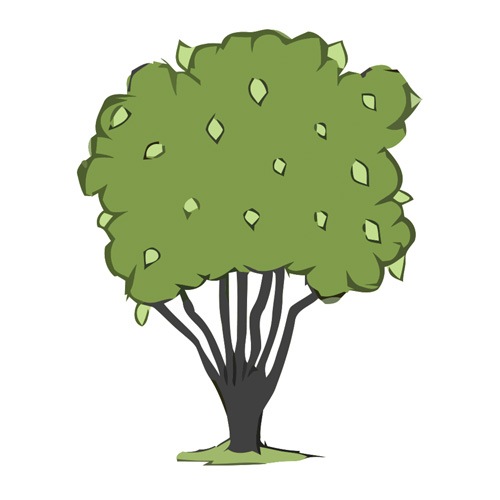 Hazel Tree